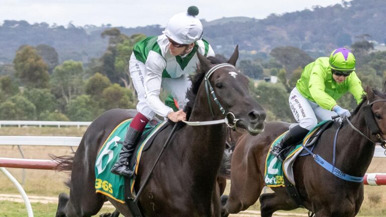 Moe tips Tuesday: $14 value bet ‘can go one better